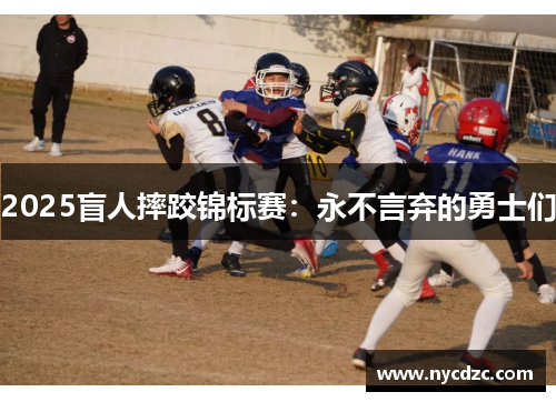 2025盲人摔跤锦标赛：永不言弃的勇士们